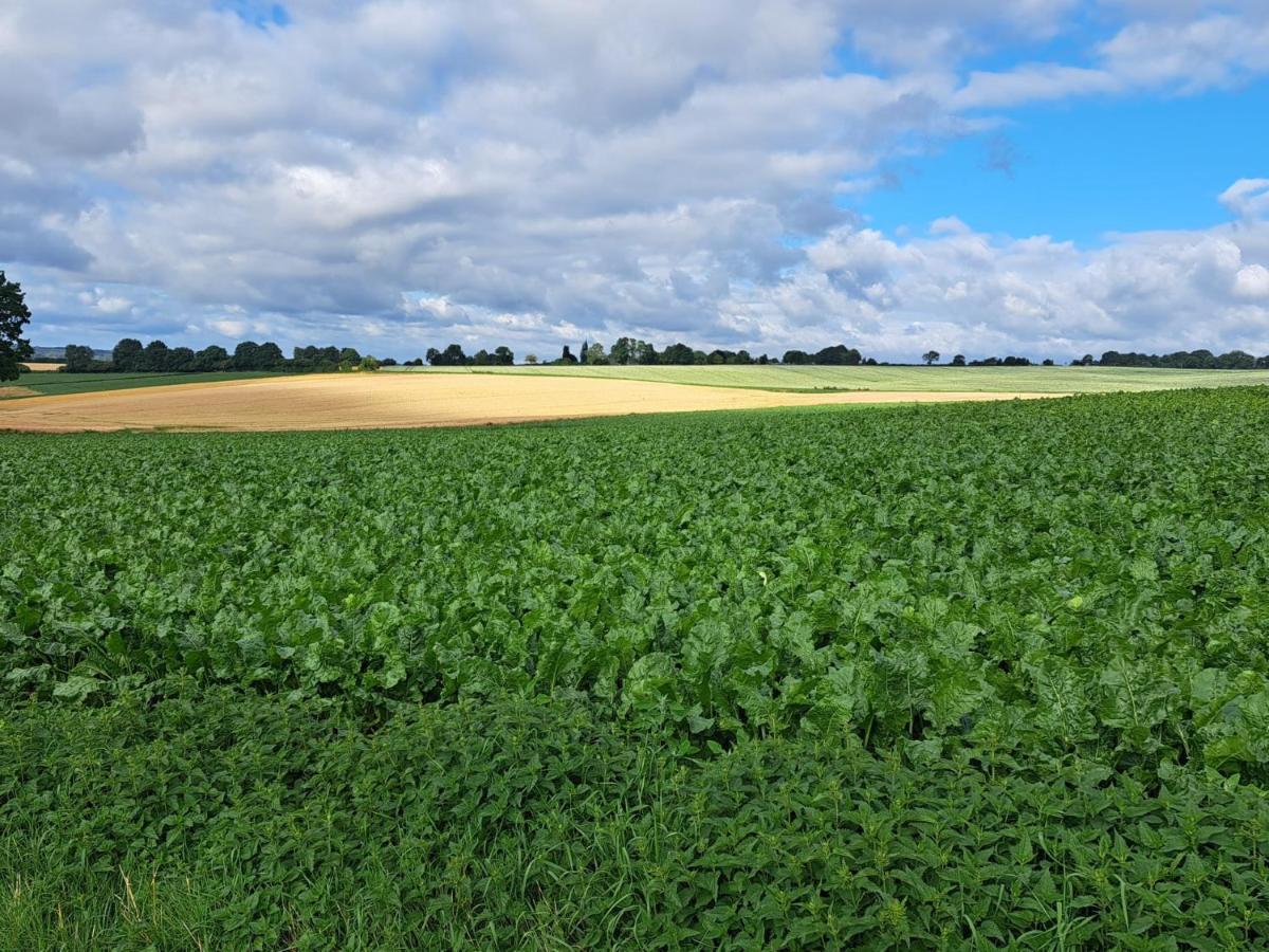 Steef's Zuid Limburg Simpelveld